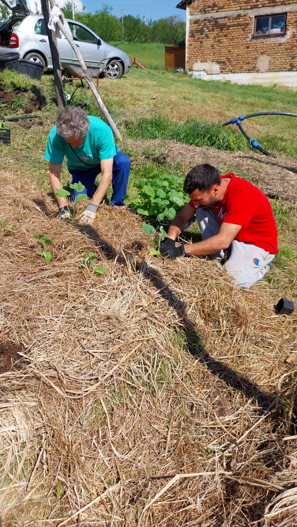 Obuka motivaciono bio gradinarstvo - 2