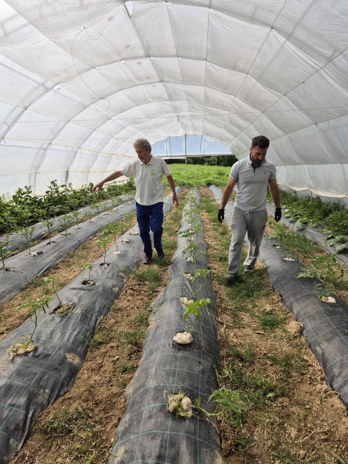 Obuka motivaciono bio gradinarstvo - 6